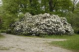 tannenfeld-sommer 2012-058